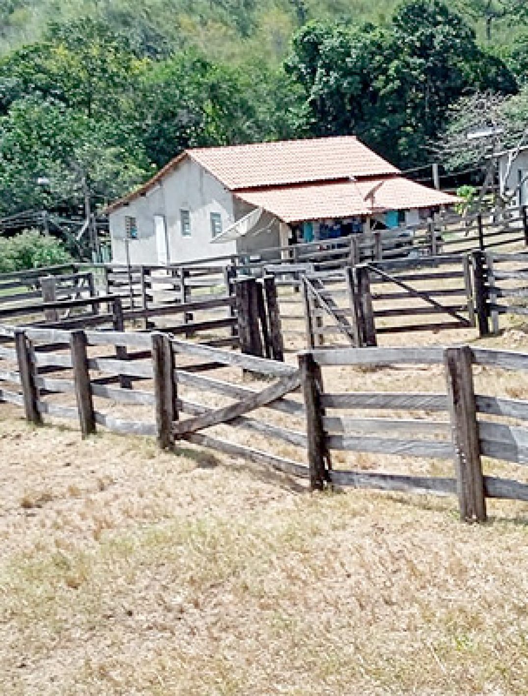 Fazenda-163-alqueires-Município-de-Formoso-GO