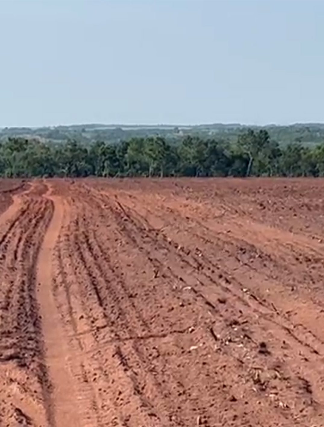 Fazenda-no-Municipio-de-Guarai-2